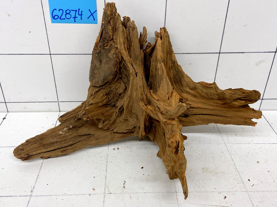 62874X - XINGU Wood Wurzelholz mit geschnittener Grundfläche