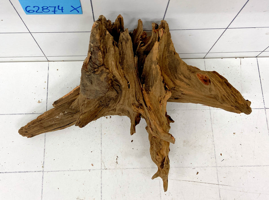62874X - XINGU Wood Wurzelholz mit geschnittener Grundfläche