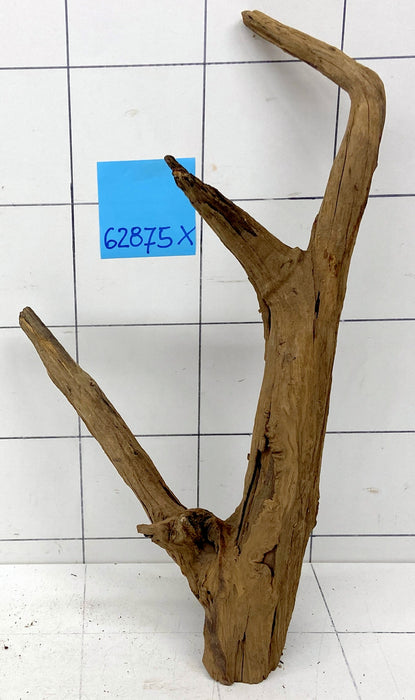 62875X - XINGU Wood Wurzelholz mit geschnittener Grundfläche