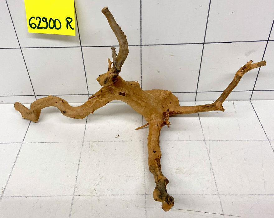 62900R Fingerwood / Rote Moorwurzel Holz