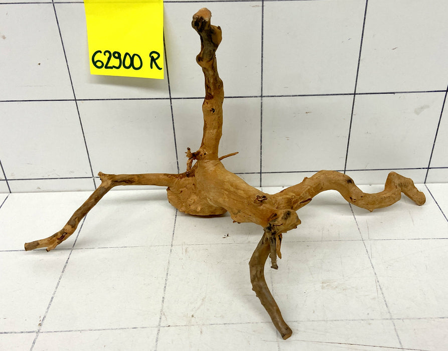 62900R Fingerwood / Rote Moorwurzel Holz