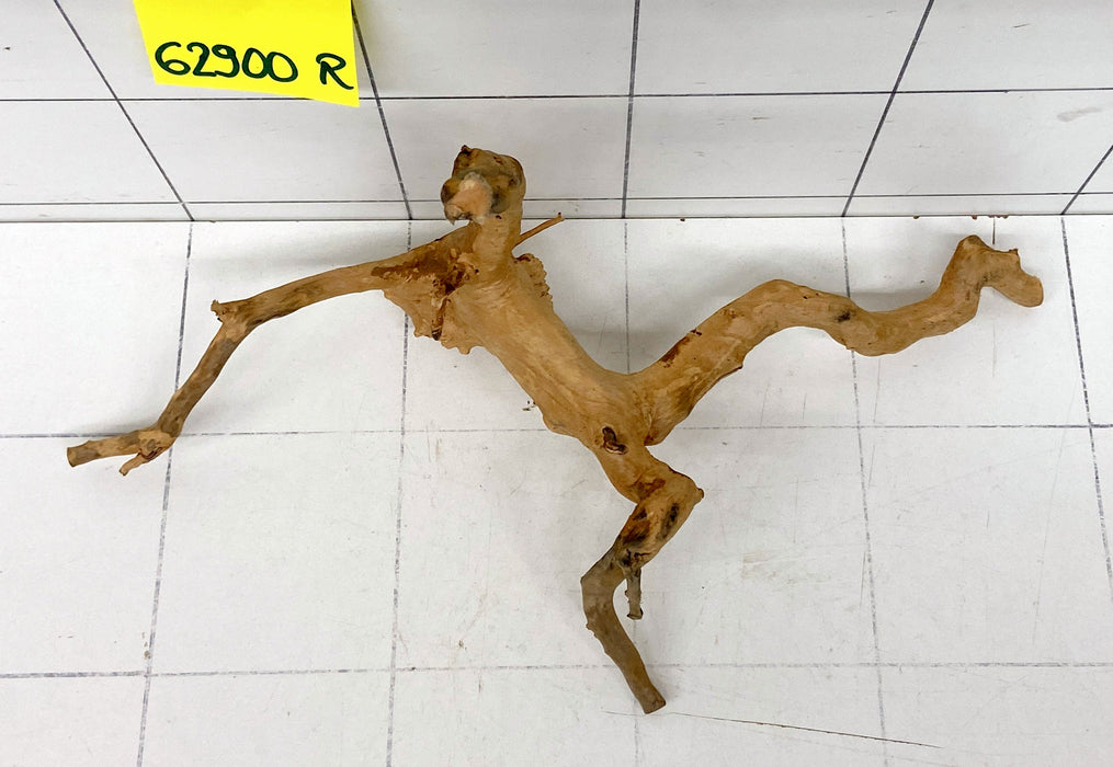 62900R Fingerwood / Rote Moorwurzel Holz