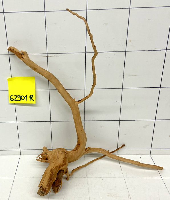 62901R Fingerwood / Rote Moorwurzel Holz