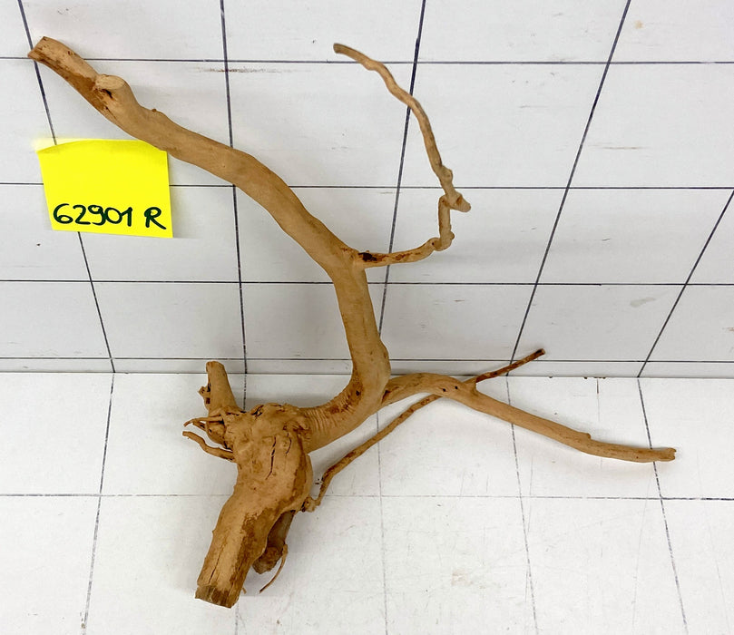 62901R Fingerwood / Rote Moorwurzel Holz