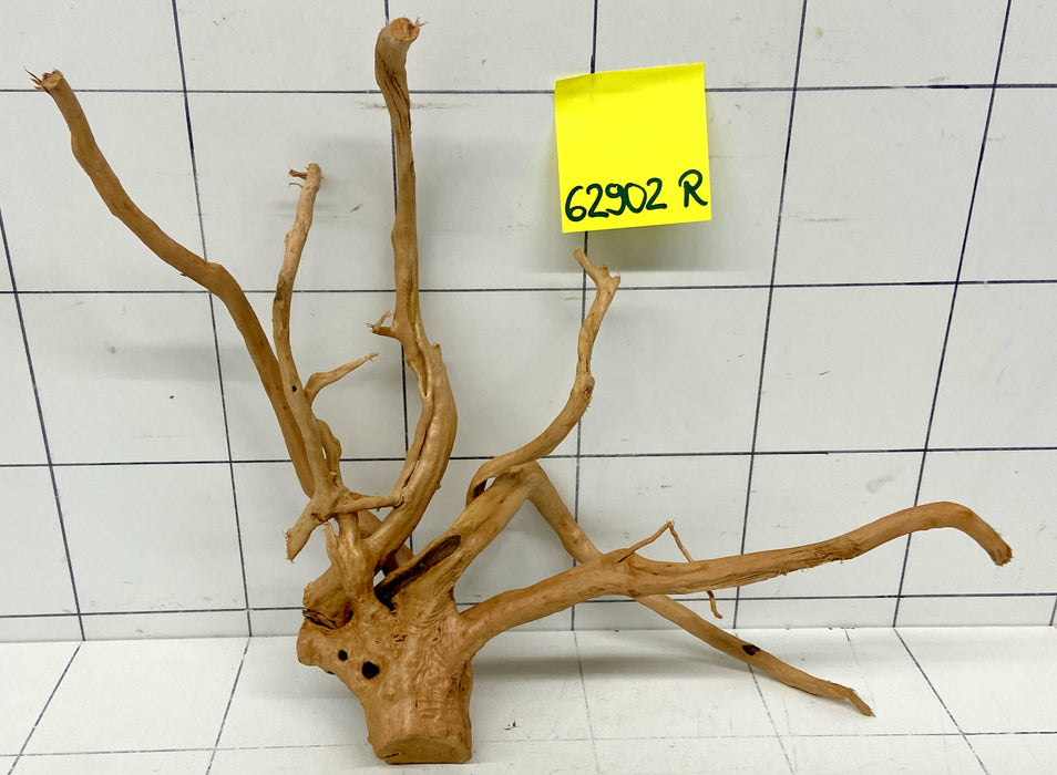 62902R Fingerwood / Rote Moorwurzel Holz