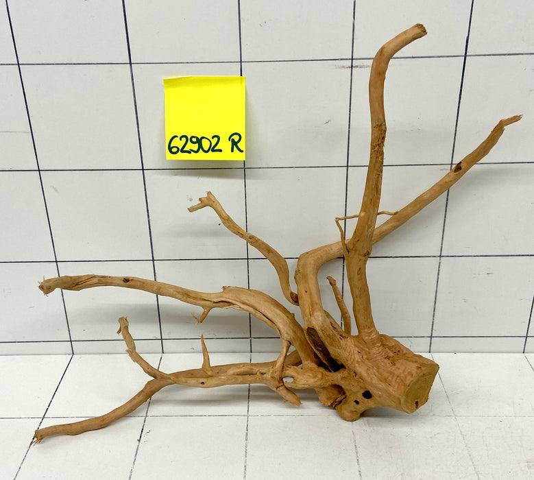 62902R Fingerwood / Rote Moorwurzel Holz