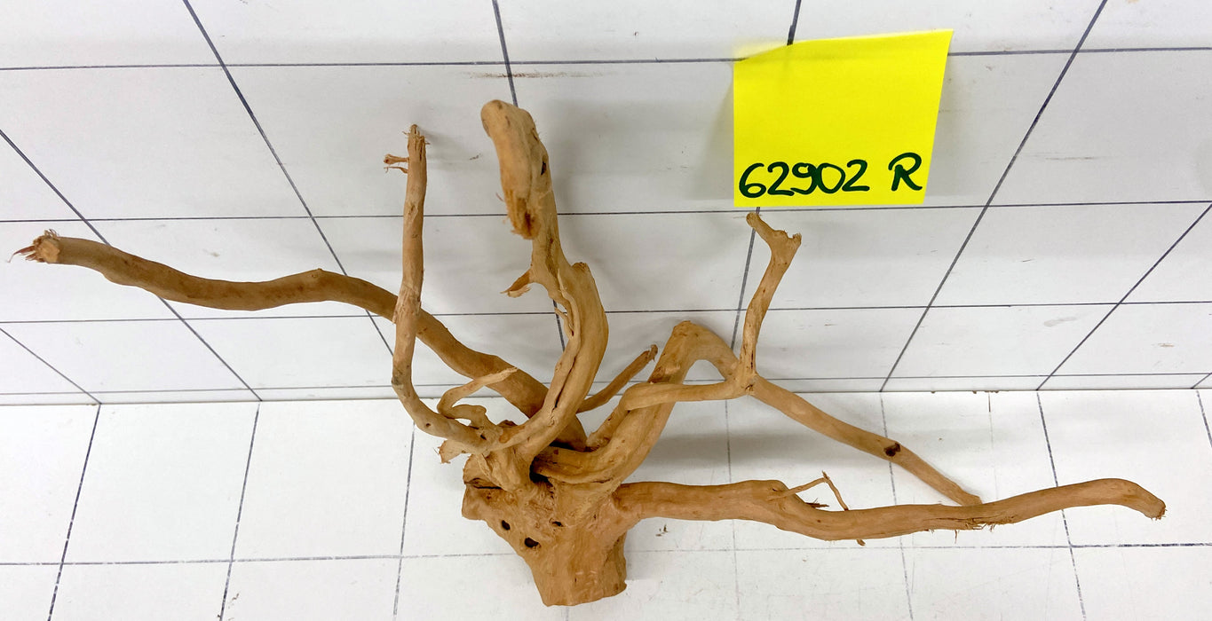 62902R Fingerwood / Rote Moorwurzel Holz