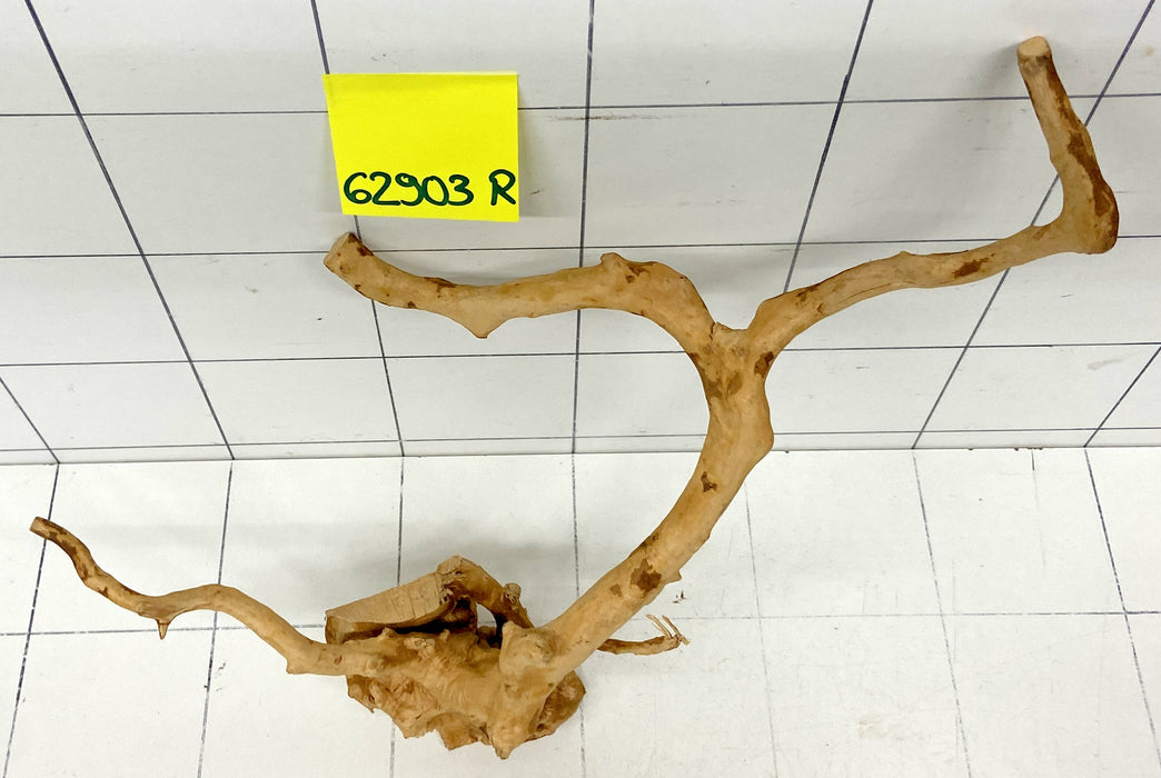 62903R Fingerwood / Rote Moorwurzel Holz