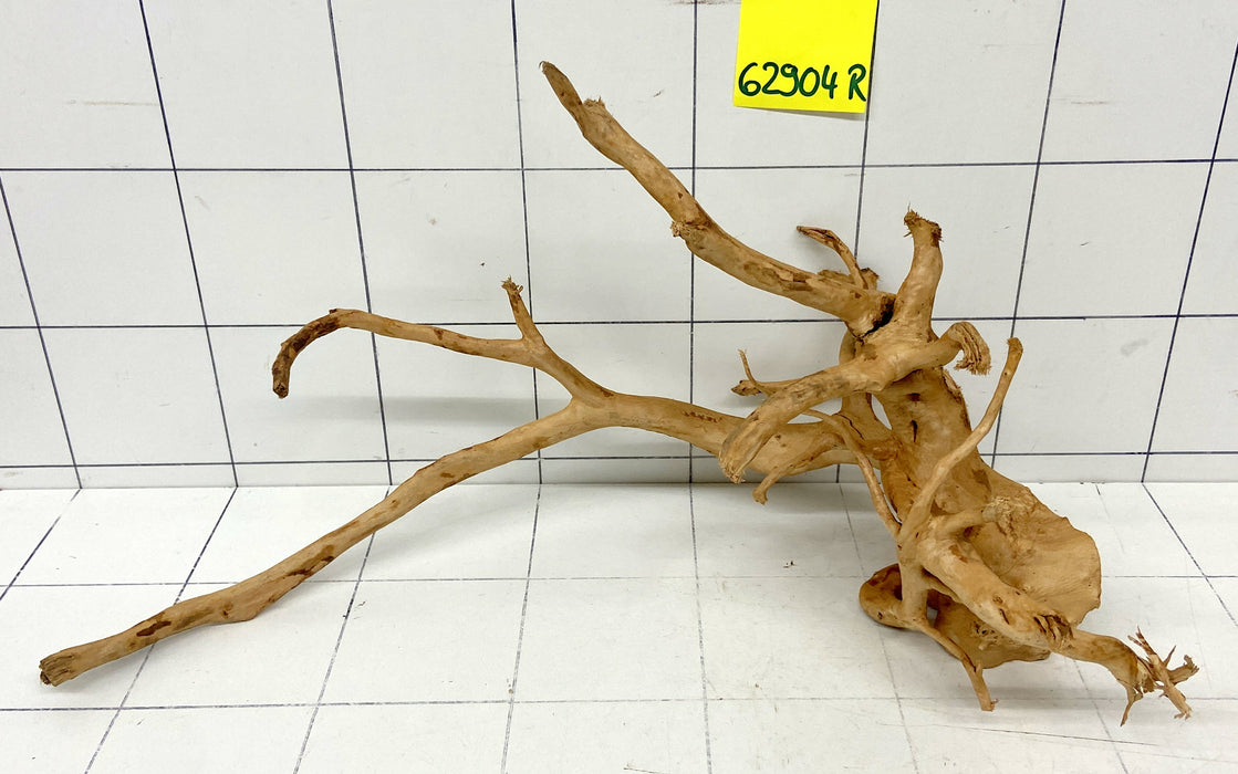 62904R Fingerwood / Rote Moorwurzel Holz