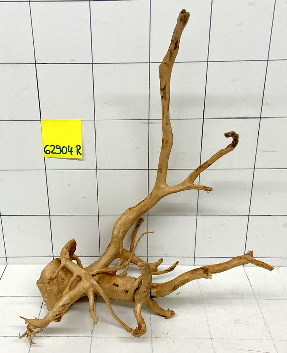 62904R Fingerwood / Rote Moorwurzel Holz