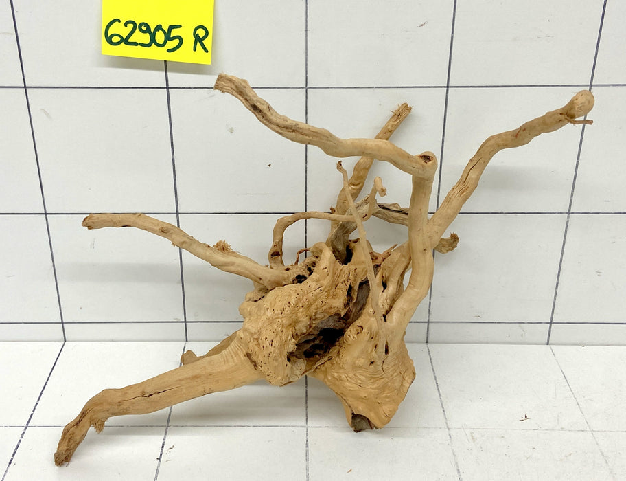 62905R Fingerwood / Rote Moorwurzel Holz