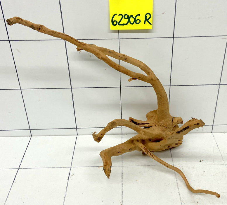 62906R Fingerwood / Rote Moorwurzel Holz