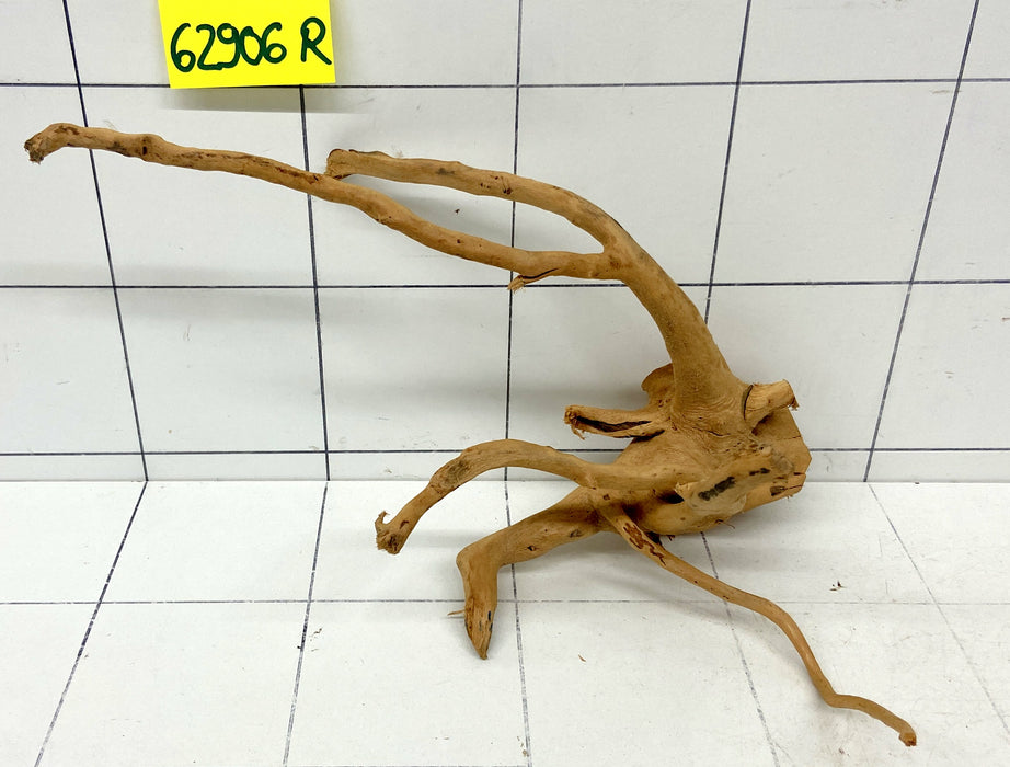 62906R Fingerwood / Rote Moorwurzel Holz