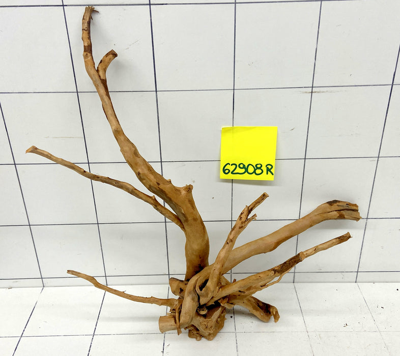 62908R Fingerwood / Rote Moorwurzel Holz