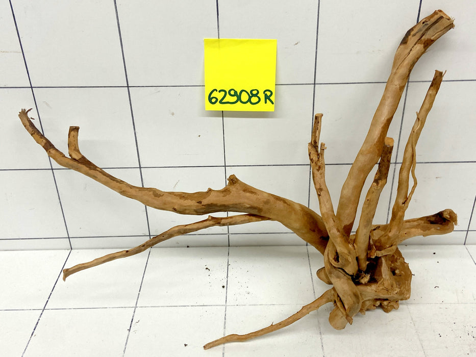 62908R Fingerwood / Rote Moorwurzel Holz