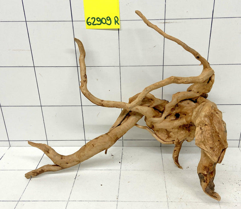 62909R Fingerwood / Rote Moorwurzel Holz