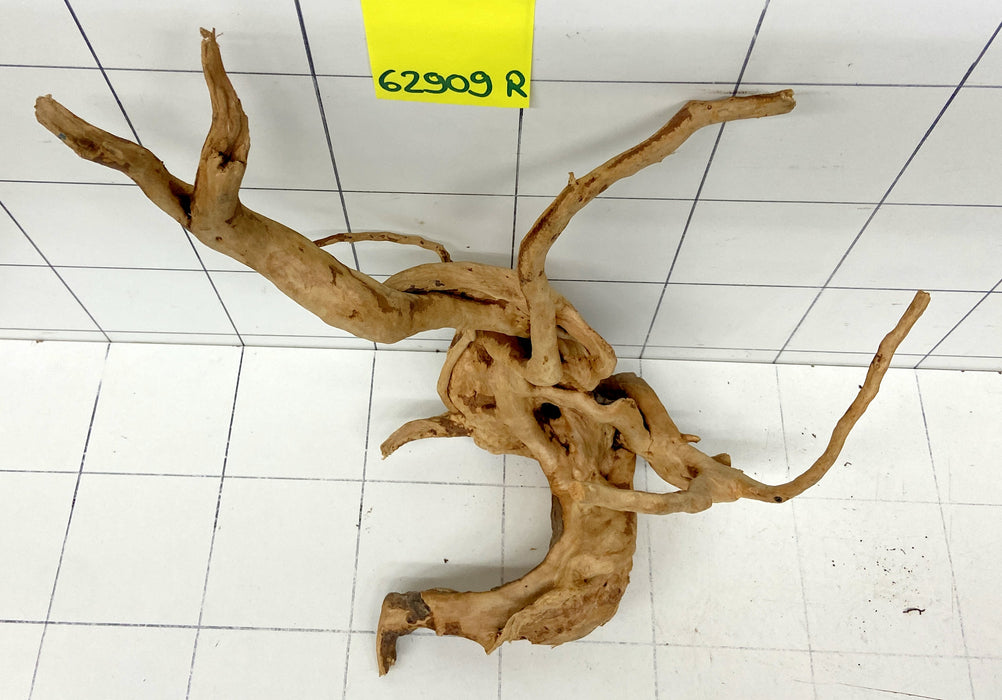 62909R Fingerwood / Rote Moorwurzel Holz