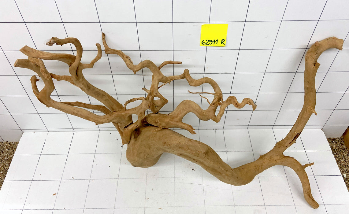 62911R Fingerwood / Rote Moorwurzel Holz XL