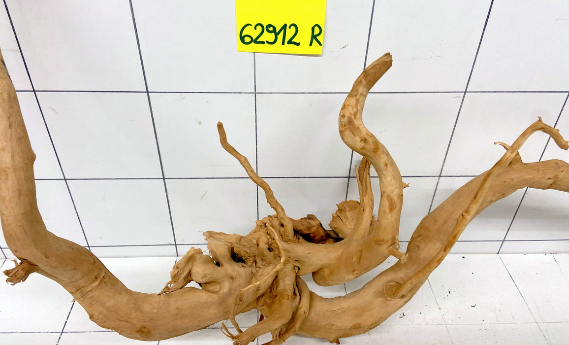 62912R Fingerwood / Rote Moorwurzel Holz XL