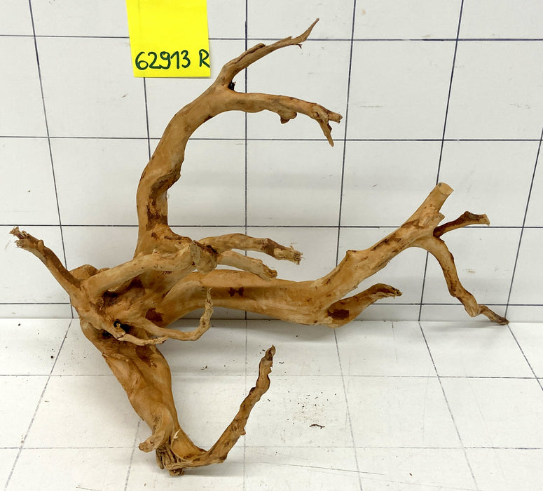 62913R Fingerwood / Rote Moorwurzel Holz