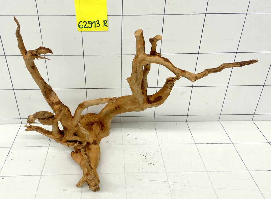 62913R Fingerwood / Rote Moorwurzel Holz