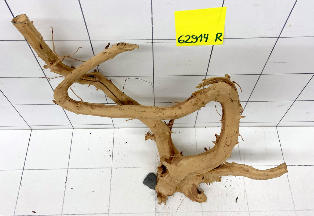62914R Fingerwood / Rote Moorwurzel Holz