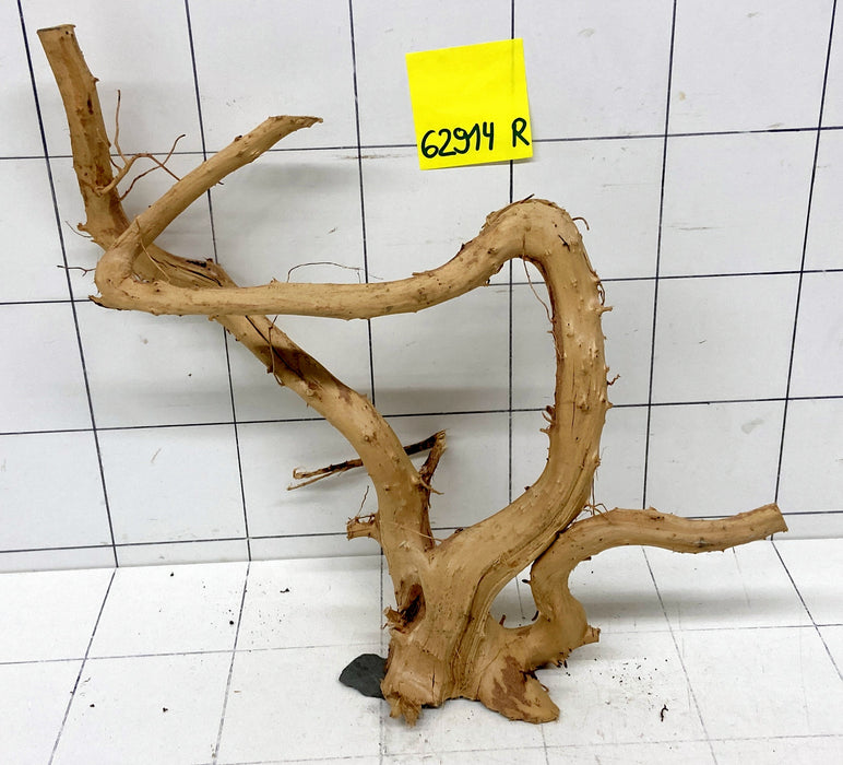 62914R Fingerwood / Rote Moorwurzel Holz