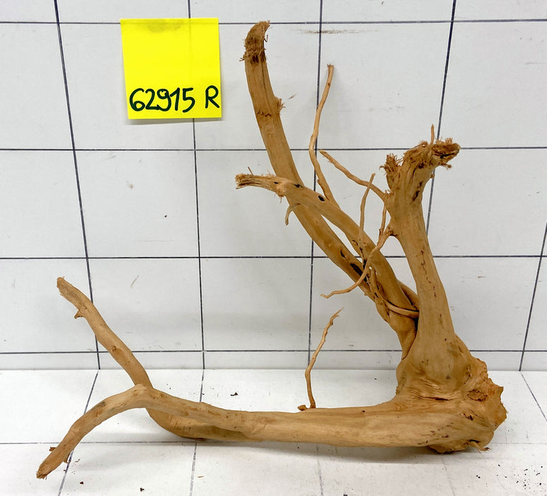 62915R Fingerwood / Rote Moorwurzel Holz