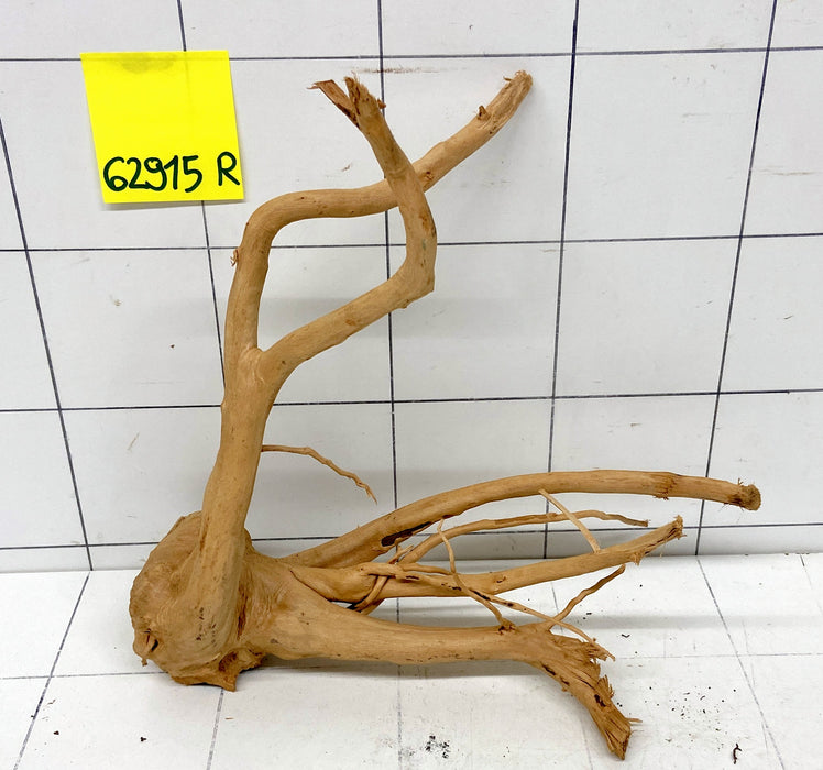 62915R Fingerwood / Rote Moorwurzel Holz