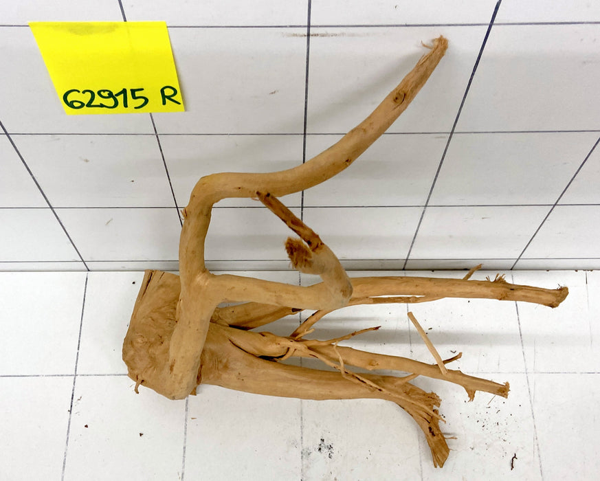 62915R Fingerwood / Rote Moorwurzel Holz