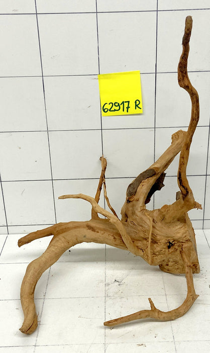 62917R Fingerwood / Rote Moorwurzel Holz