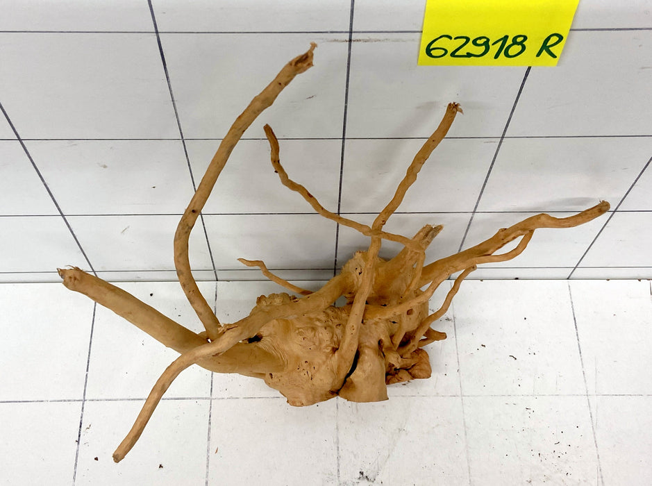 62918R Fingerwood / Rote Moorwurzel Holz