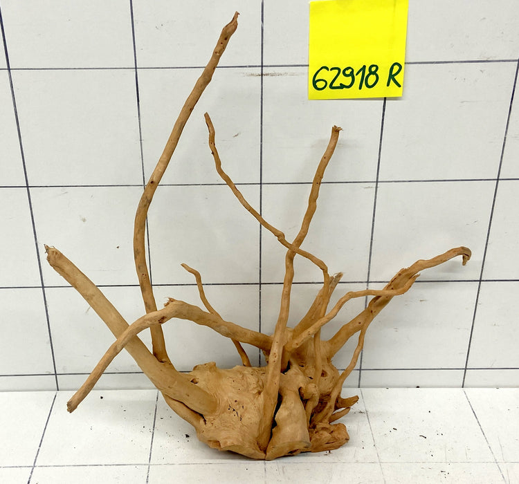 62918R Fingerwood / Rote Moorwurzel Holz