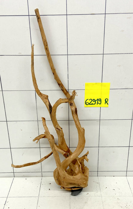 62919R Fingerwood / Rote Moorwurzel Holz