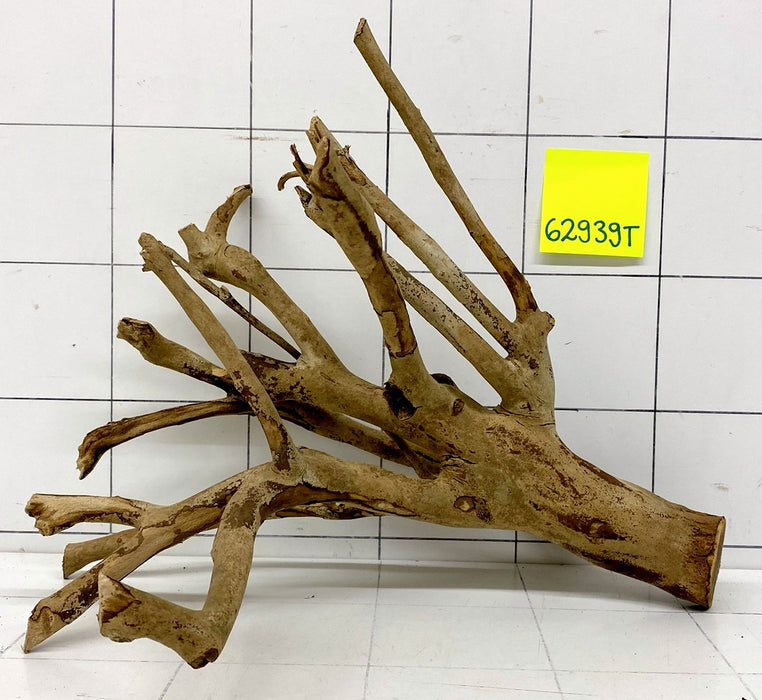 62939T Talawa Wurzel Holz