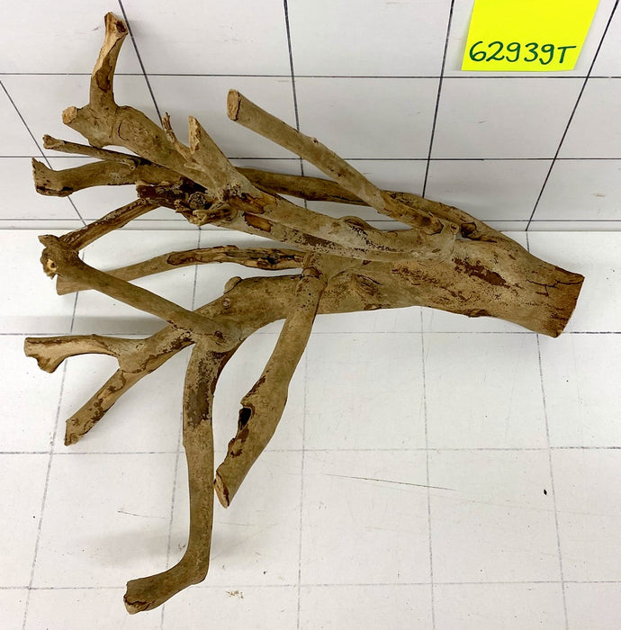 62939T Talawa Wurzel Holz