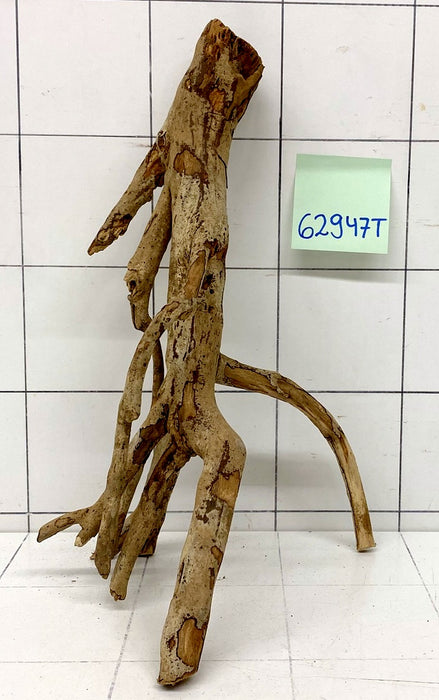 62947T Talawa Wurzel Holz