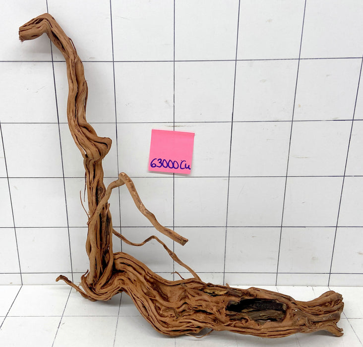 63000Cu - Curlwood Wurzel Holz