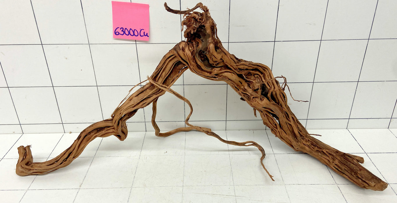 63000Cu - Curlwood Wurzel Holz