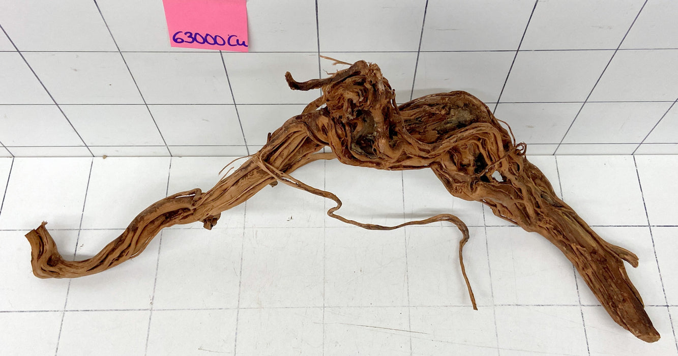 63000Cu - Curlwood Wurzel Holz