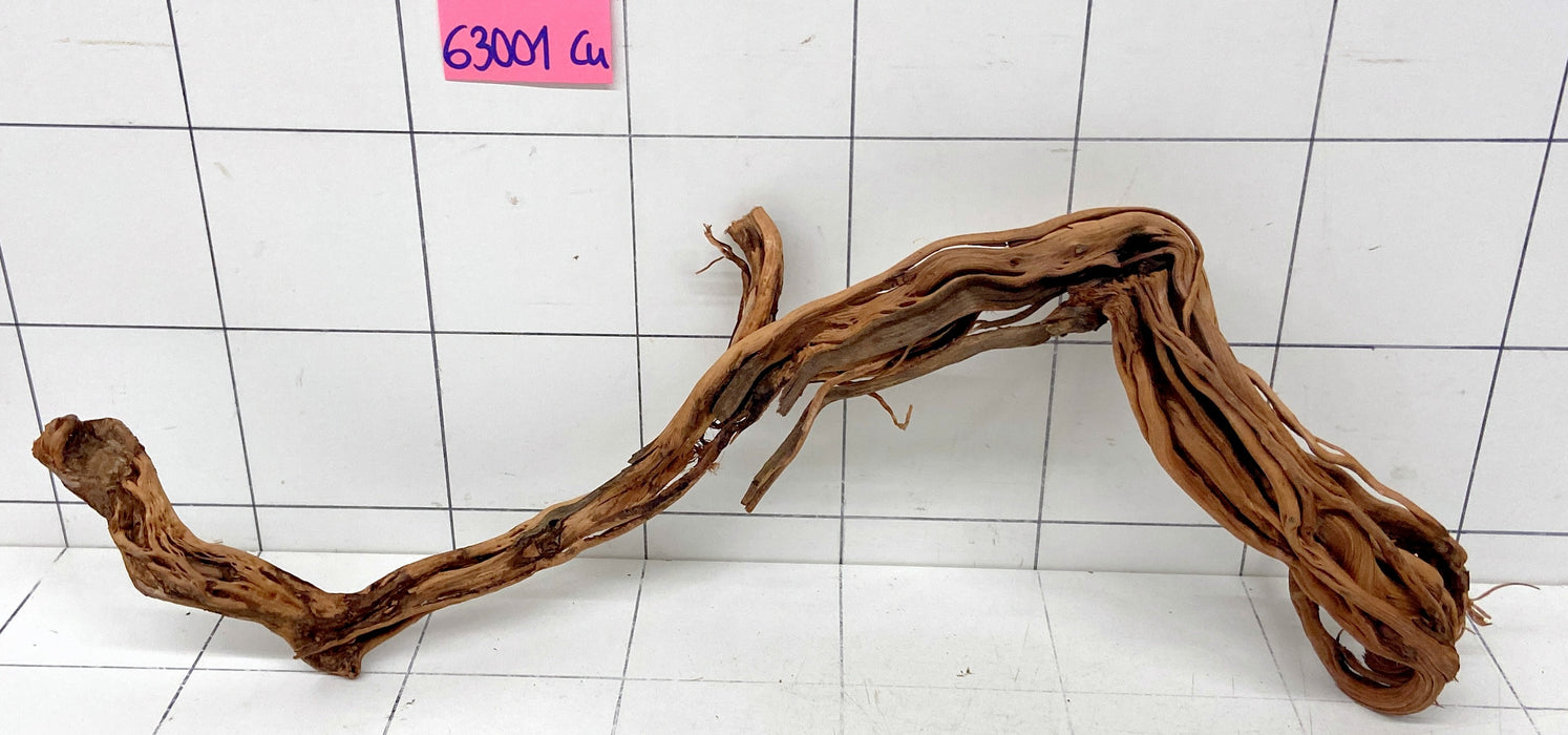 63001Cu - Curlwood Wurzel Holz