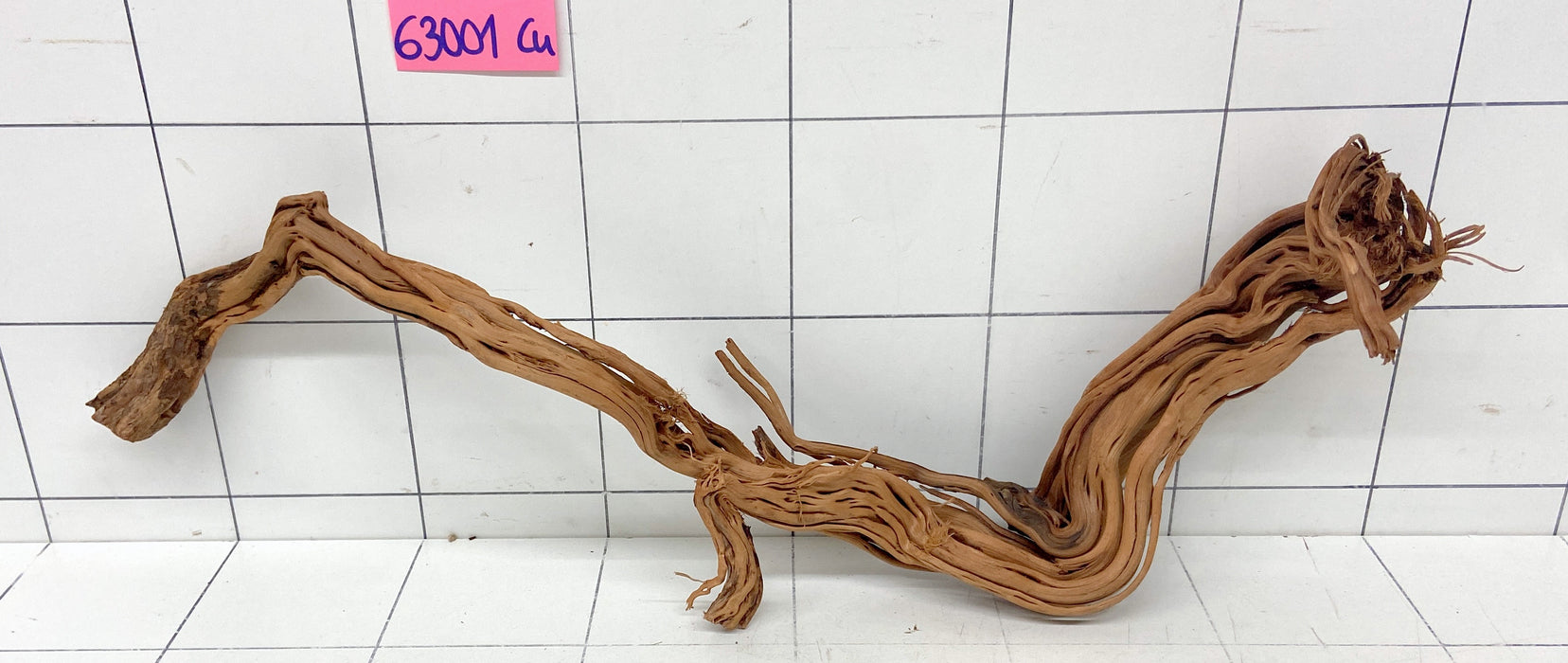 63001Cu - Curlwood Wurzel Holz