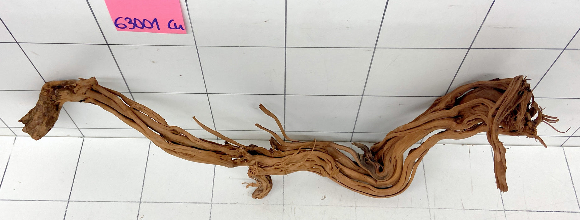 63001Cu - Curlwood Wurzel Holz