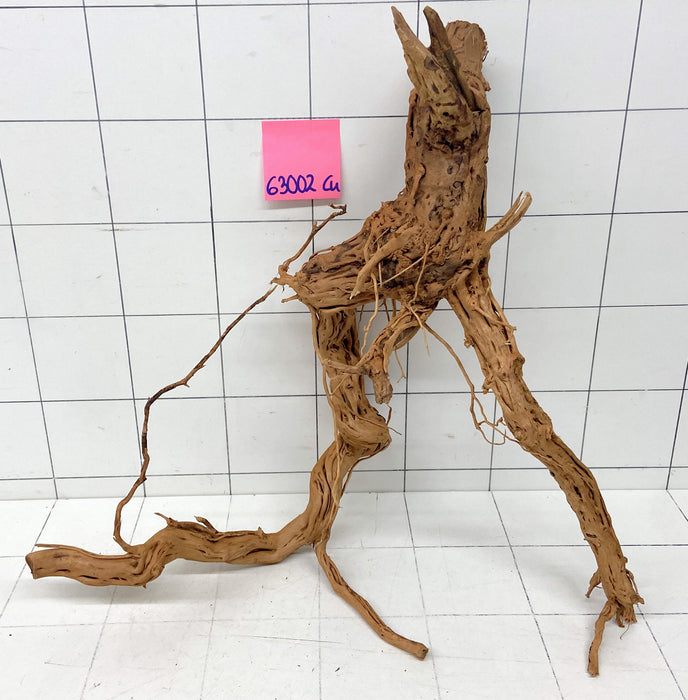 63002Cu - Curlwood Wurzel Holz