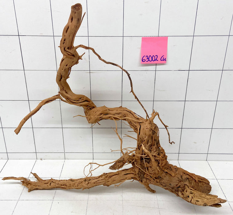63002Cu - Curlwood Wurzel Holz