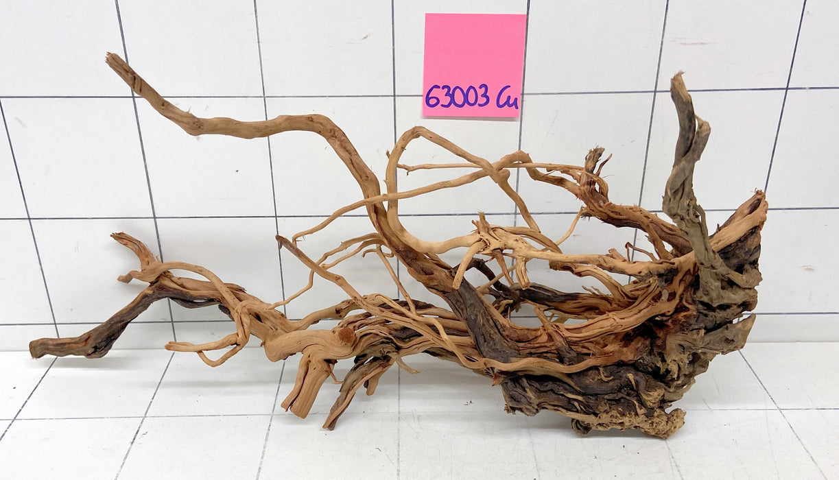 63003Cu - Curlwood Wurzel Holz