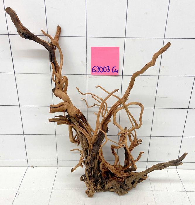 63003Cu - Curlwood Wurzel Holz