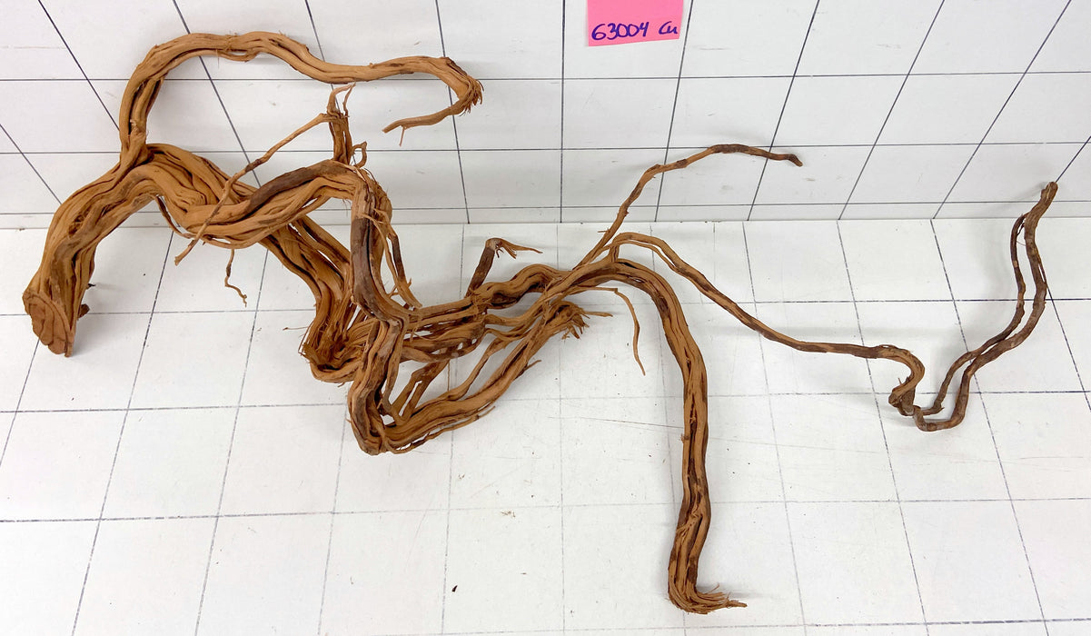 63004Cu - Curlwood Wurzel Holz