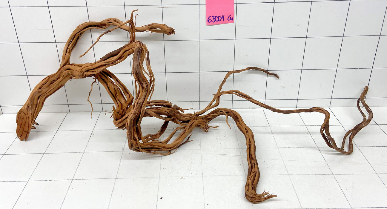 63004Cu - Curlwood Wurzel Holz