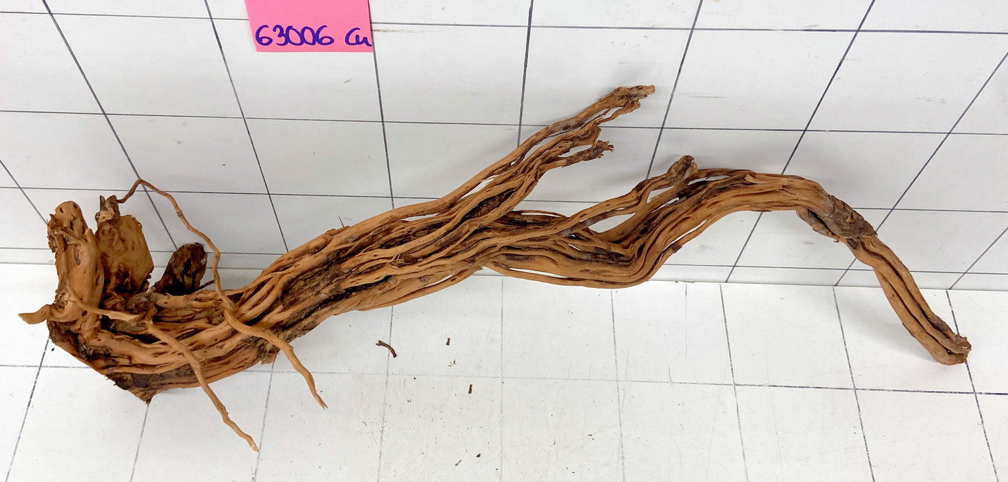 63006Cu - Curlwood Wurzel Holz